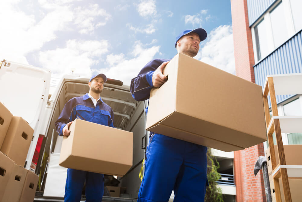 Best Moving Company Near Me