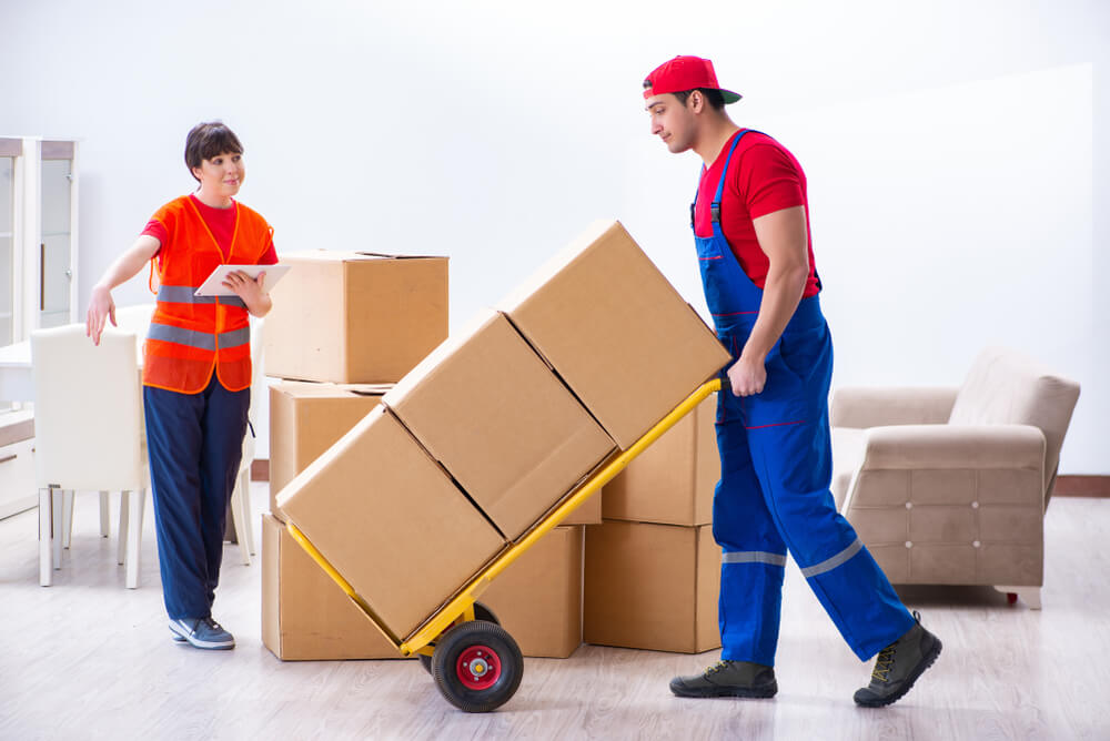 Apartment Moving Services Homestead